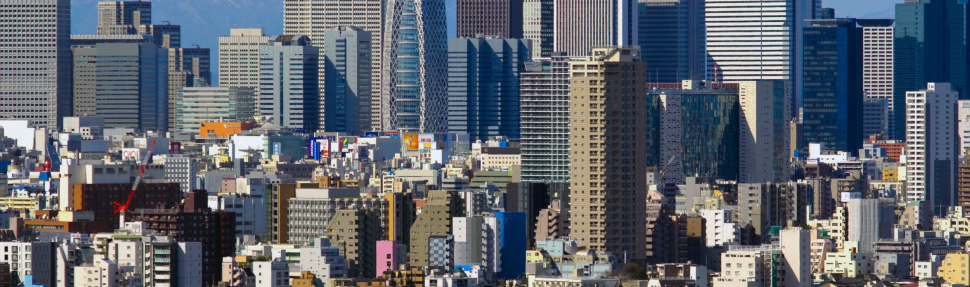 Population Characteristics - Tokyo Mega City